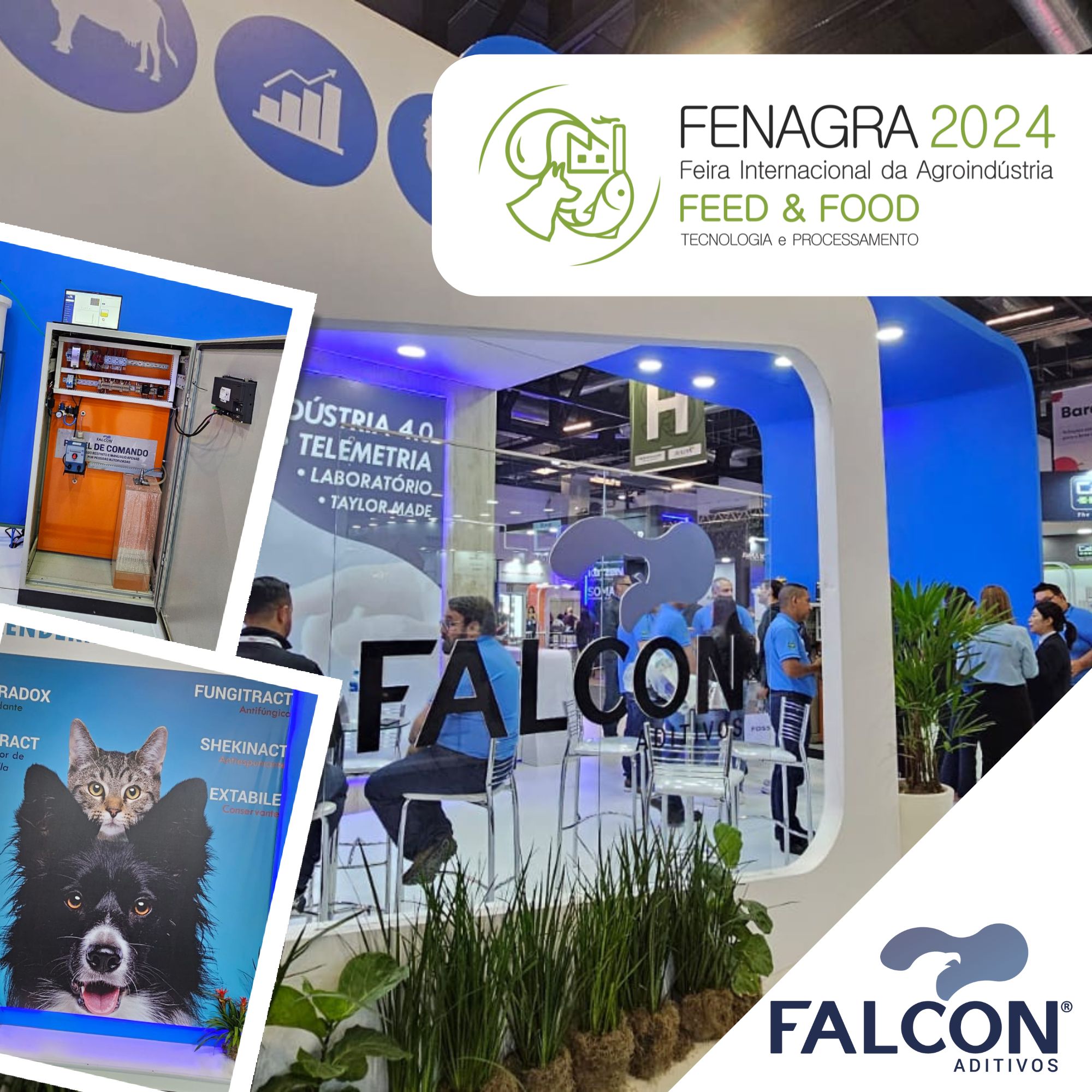 FENAGRA 2024