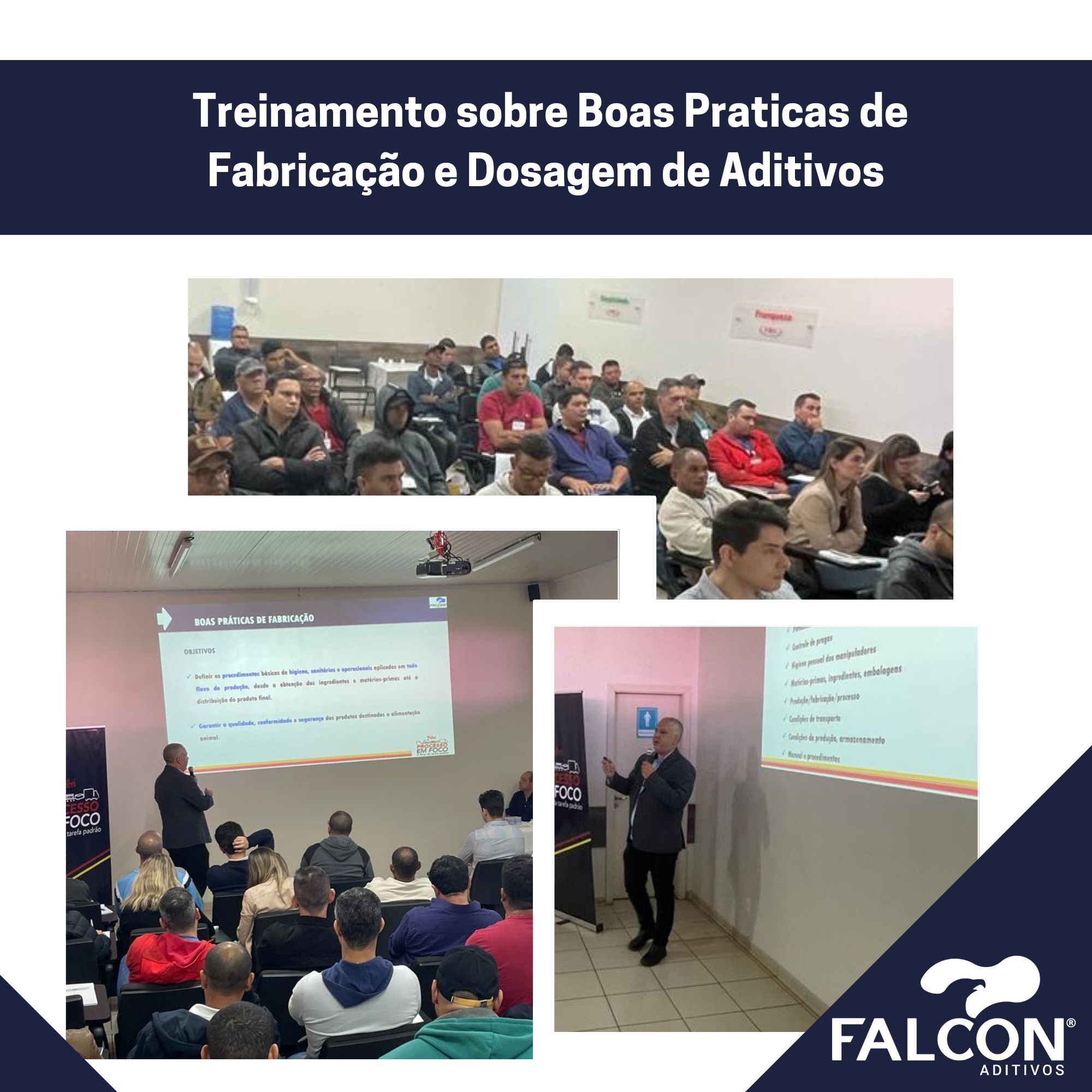 Treinamento de Boas Práticas de Fabricação e Aditivos